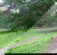 St Albans Reserve - Accommodation Coffs Harbour