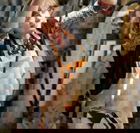 Talisman Gallery - Accommodation Coffs Harbour