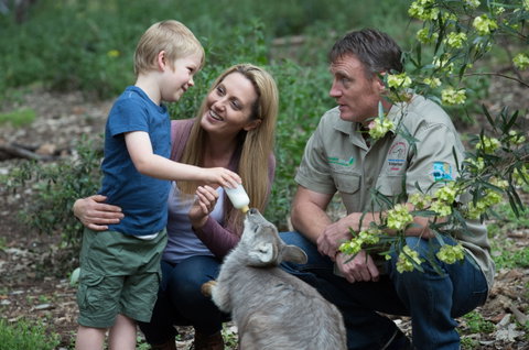Tamworth Marsupial Park And Adventure Playground - Accommodation Coffs Harbour 0