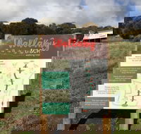 The Wallaby Track - Accommodation Coffs Harbour