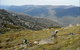 Thredbo Mountain Biking - thumb 0