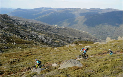 Thredbo Mountain Biking - Accommodation Coffs Harbour 0