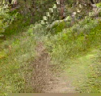 Three Views walking track - Accommodation Coffs Harbour