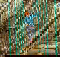 Trees Adventure Yeodene Park - Accommodation Coffs Harbour