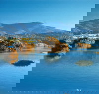 Wagonga Picnic Area - Accommodation Coffs Harbour