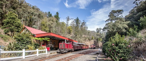 Walhalla Goldfields Railway - Accommodation Coffs Harbour 1