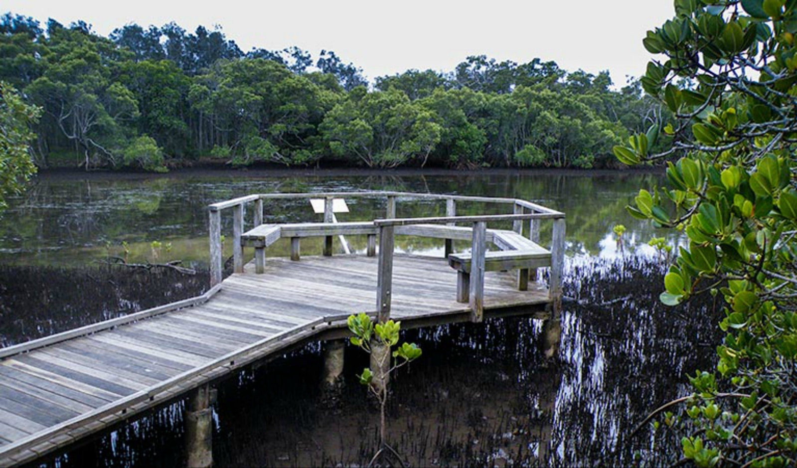 Tweed Heads South NSW Accommodation Coffs Harbour