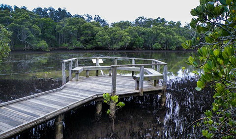 Walk On Water Walking Track - Accommodation Coffs Harbour 0