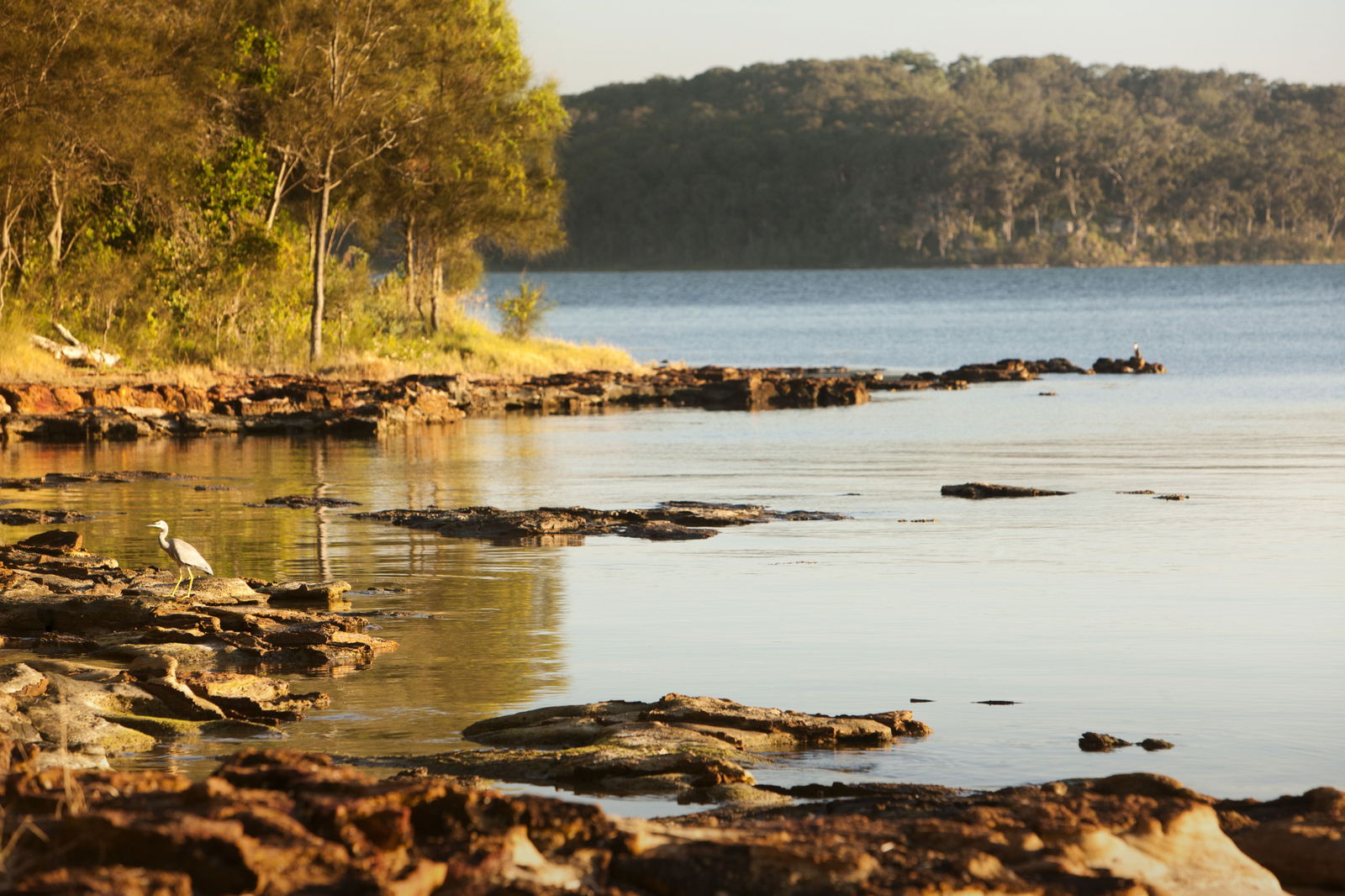 Wangi Wangi NSW Accommodation Coffs Harbour