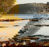 Wangi Wangi - Accommodation Coffs Harbour