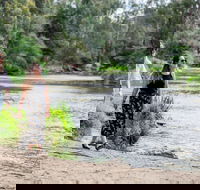 Warrandyte River Reserve - Accommodation Coffs Harbour