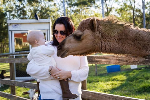 White Ridge Farm - Accommodation Coffs Harbour 0