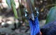 Wildlife Habitat - thumb 0