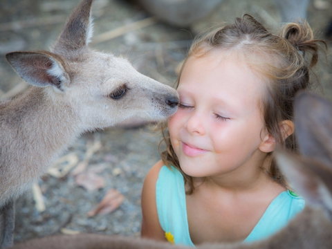 Wildlife Habitat - Accommodation Coffs Harbour 1