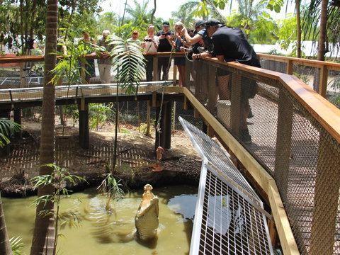 Wildlife Habitat - Accommodation Coffs Harbour 2