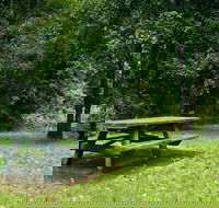 Williams River picnic area - Accommodation Coffs Harbour