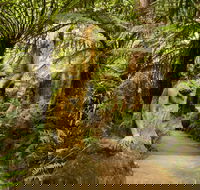 William Ricketts Sanctuary - Accommodation Coffs Harbour