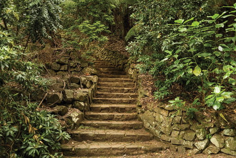 William Ricketts Sanctuary - Accommodation Coffs Harbour 1