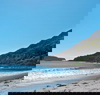 Yacaaba Headland Walking Track - Accommodation Coffs Harbour