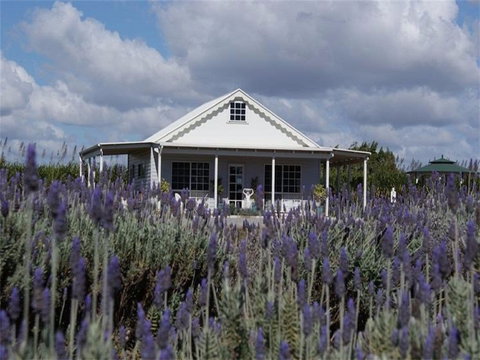 Amandine Lavender - Accommodation Coffs Harbour 0