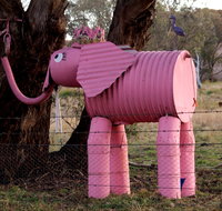 Animals on Bikes - Accommodation Coffs Harbour