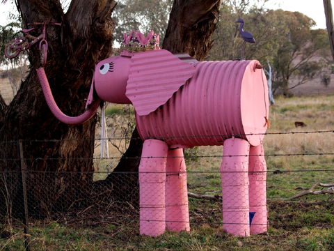 Animals On Bikes - Accommodation Coffs Harbour 0