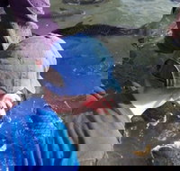 Aquascene - Accommodation Coffs Harbour