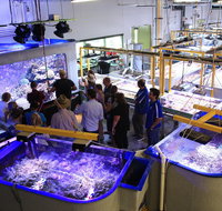 Australian Institute of Marine Science - Accommodation Coffs Harbour