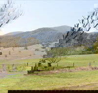 Banimboola Creek Rest Area - Accommodation Coffs Harbour