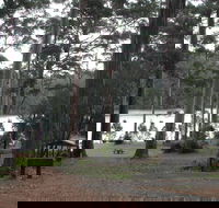 Big Brook Arboretum - Accommodation Coffs Harbour