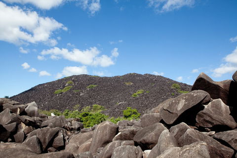 Black Mountain (Kalkajaka) National Park - Accommodation Coffs Harbour 0
