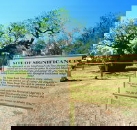 Boab Prison Tree - Accommodation Coffs Harbour
