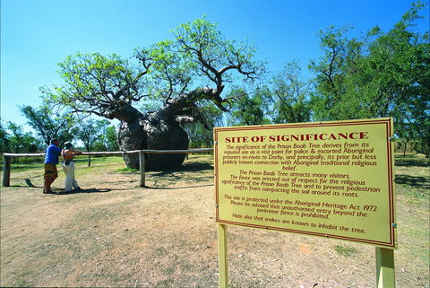 Boab Prison Tree - Accommodation Coffs Harbour 0