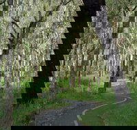 Boondall - Accommodation Coffs Harbour