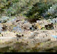 Boonoo Boonoo National Park - Accommodation Coffs Harbour