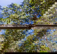Bribie Island Bicentennial Trails - Accommodation Coffs Harbour