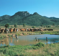 Bundaberg- Biggenden- Mount Perry Circle - Accommodation Coffs Harbour