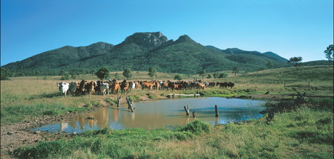 Bundaberg- Biggenden- Mount Perry Circle - Accommodation Coffs Harbour 0