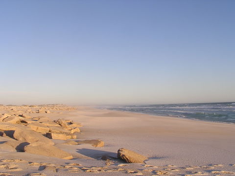 Chadinga Conservation Park - Accommodation Coffs Harbour 2