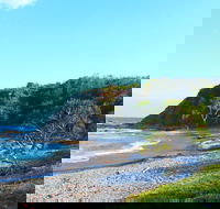 Clay Head - Accommodation Coffs Harbour