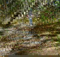 Cliff Face track - Accommodation Coffs Harbour