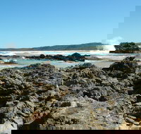 Coastal Walks - Bermagui - Accommodation Coffs Harbour