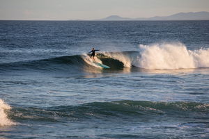 Coffs Coast State Park