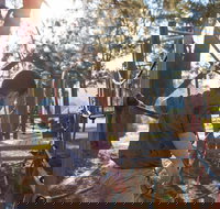 Cotter Avenue recreation area - Accommodation Coffs Harbour