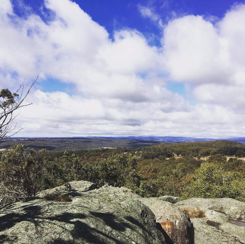 Donnellys Castle - Accommodation Coffs Harbour 0