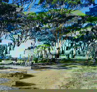 Dumbleyung - Accommodation Coffs Harbour