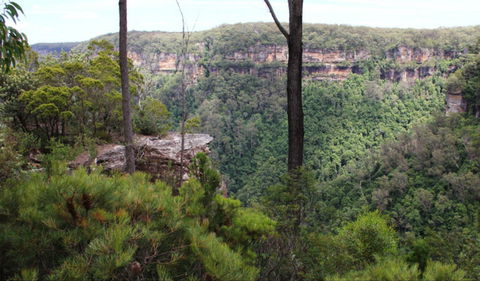 East Rim Wildflower Walking Track - Accommodation Coffs Harbour 0