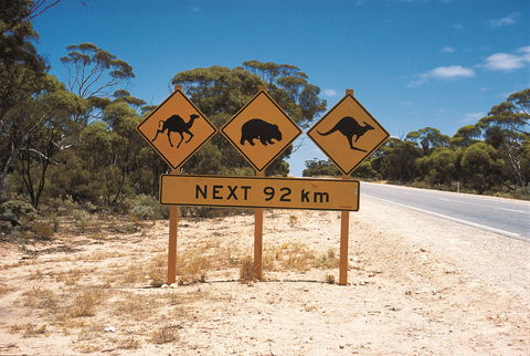 Eyre Highway - Accommodation Coffs Harbour 1