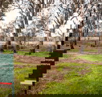 Gemmill Swamp Wildlife Reserve - Accommodation Coffs Harbour