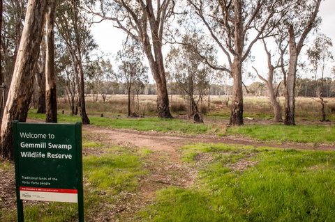 Gemmill Swamp Wildlife Reserve - Accommodation Coffs Harbour 0